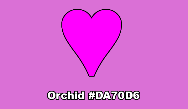 HTML color Orchid hex: DA70D6