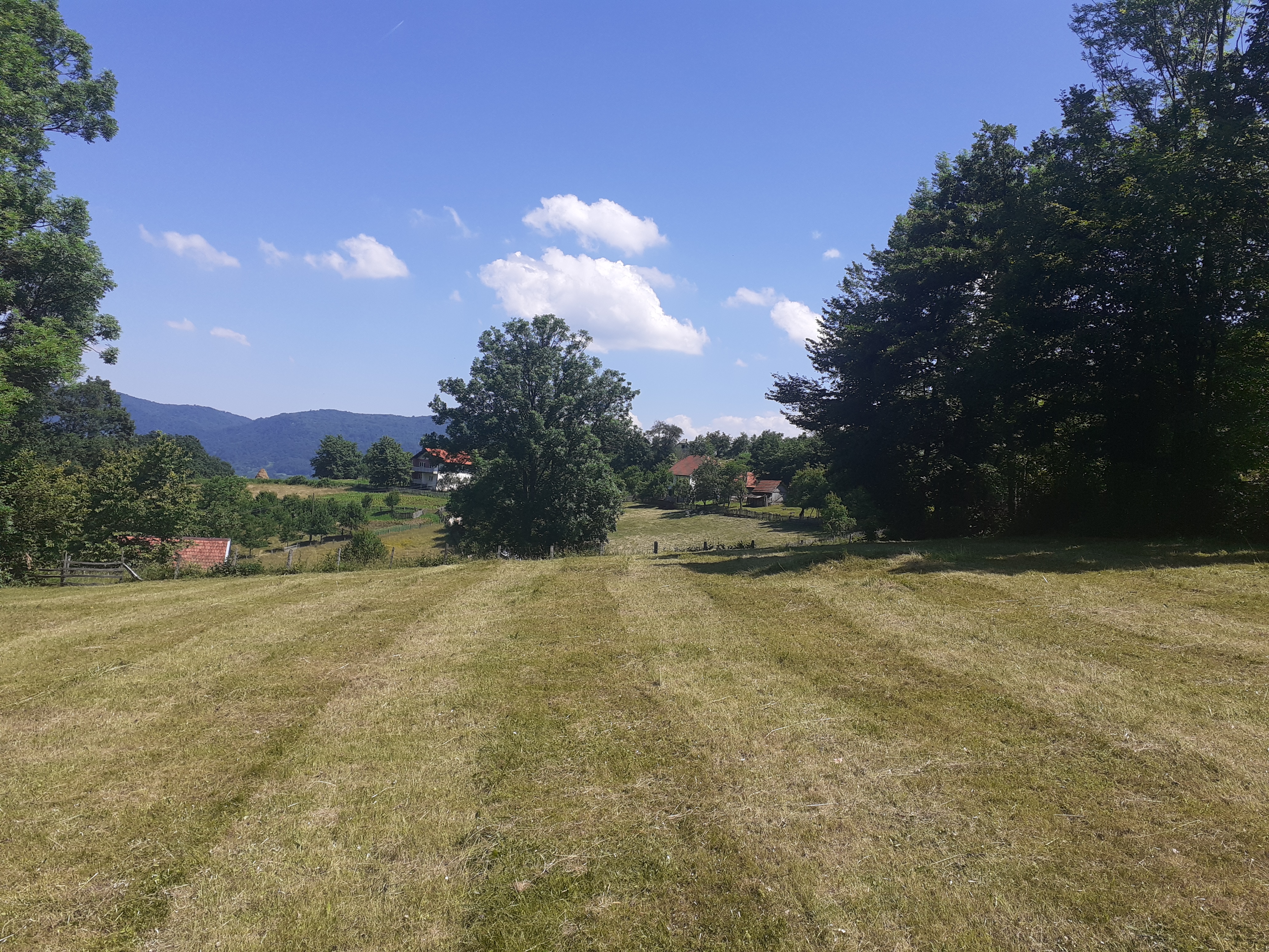 meadow and village